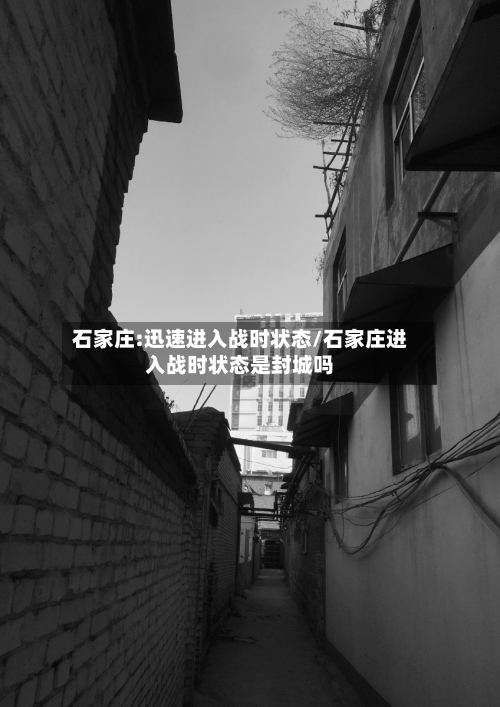 石家庄:迅速进入战时状态/石家庄进入战时状态是封城吗-第3张图片