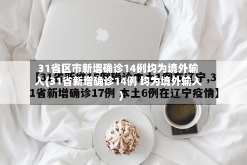 31省区市新增确诊14例均为境外输入(31省新增确诊14例 均为境外输入)-第2张图片