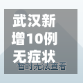 武汉新增10例无症状(武汉新增6例确诊病例,10例无症状感染者 ,活动轨迹公布)-第3张图片