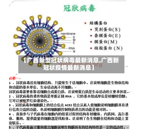 【广西新型冠状病毒最新消息,广西新冠状疫情最新消息】