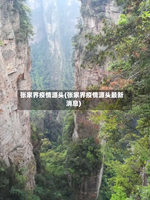 张家界疫情源头(张家界疫情源头最新消息)