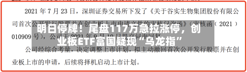 明日停牌！尾盘117万急拉涨停，创业板ETF富国疑现“乌龙指”