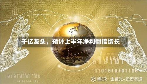 千亿龙头，预计上半年净利翻倍增长-第3张图片
