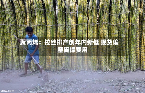 聚丙烯:拉丝排产创年内新低 现货偏紧支撑费用
坚挺-第2张图片