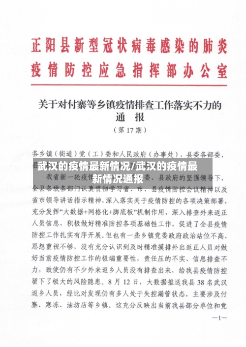 武汉的疫情最新情况/武汉的疫情最新情况通报-第2张图片